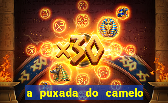 a puxada do camelo no jogo do bicho